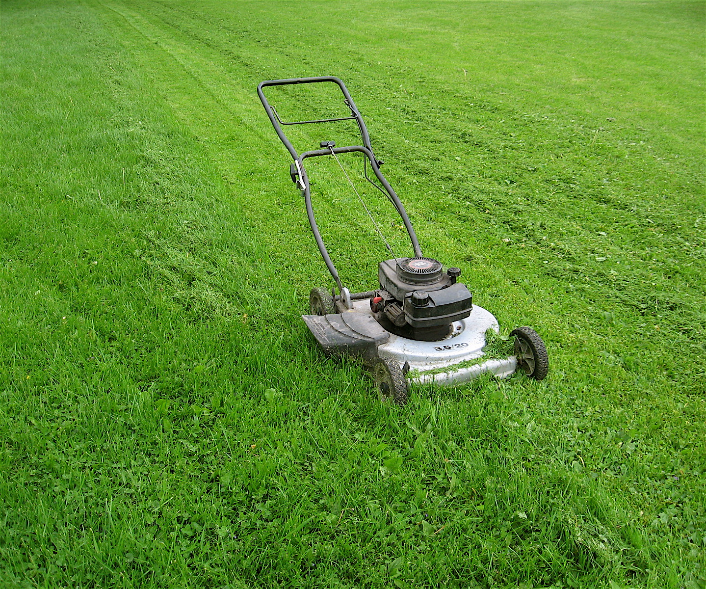 Woods Wanderer Cutting Grass