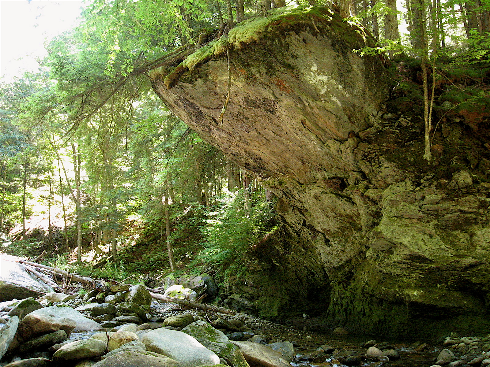 Woods Wanderer 2011 August